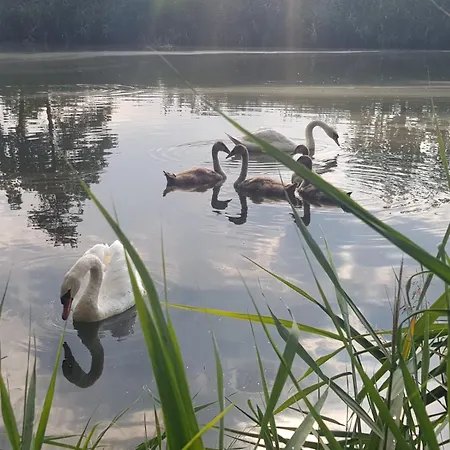 In Herrlicher Teichlandschaft Caminau