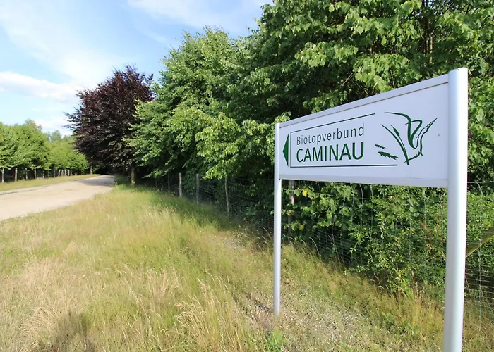 In Herrlicher Teichlandschaft * Caminau