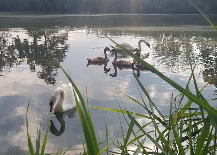 In Herrlicher Teichlandschaft Caminau